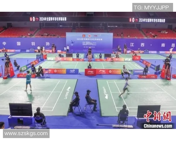 南京羽毛球队在锦标赛中的实力展现与未来发展潜力分析