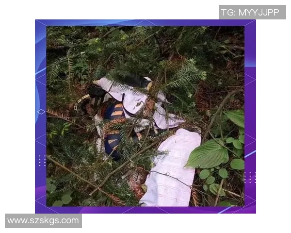 成都极限运动队防守创新探索与实践的深度剖析与启示