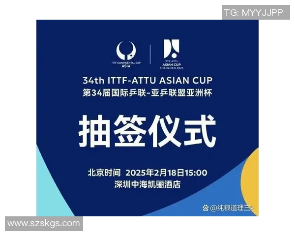 深圳乒乓球队区域防守策略分析与成败得失探讨