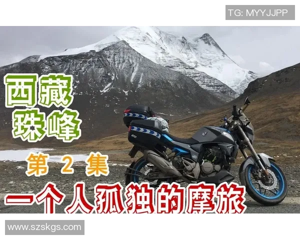 西安攀岩队协作精神探讨与训练技巧分享之旅 西安攀岩队协作精神探讨与训练技巧分享之旅